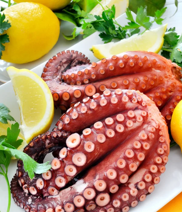 octopus-soup-2021-08-26-15-33-35-utc-scaled.webp